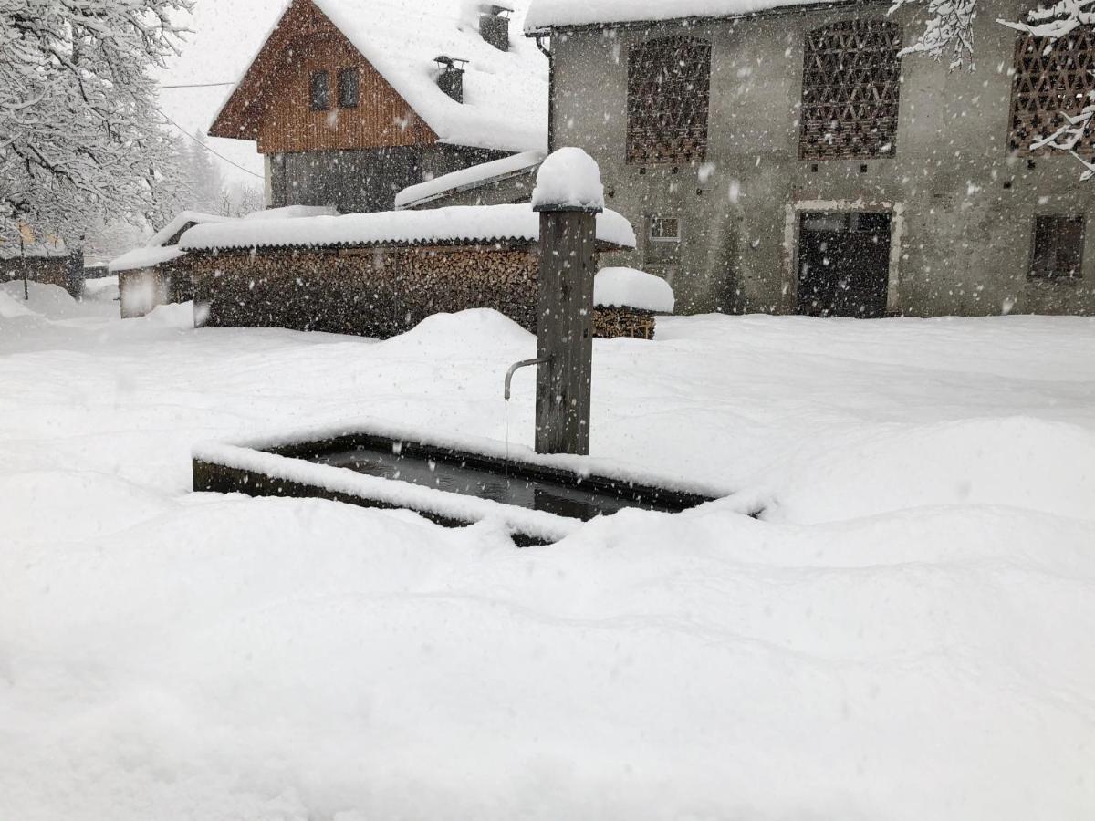 Gaestehaus Rader Weissbriach Luaran gambar